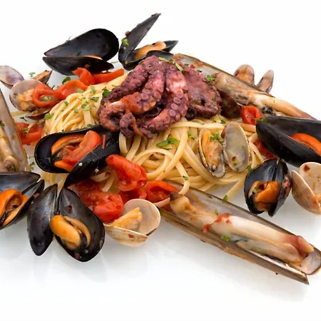 Weber Ambassador Otel