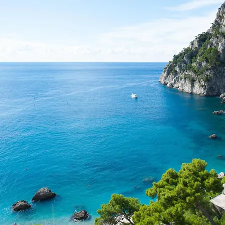 Weber Ambassador Otel