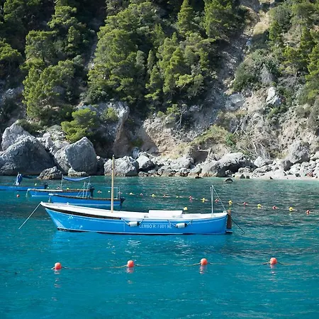Weber Ambassador 4* Capri