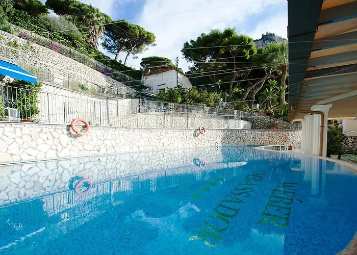 Weber Ambassador 4* Capri