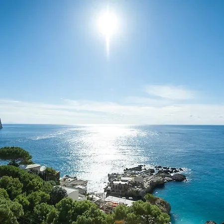 Weber Ambassador Otel 4*